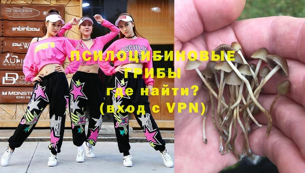 прущая мука Кинешма