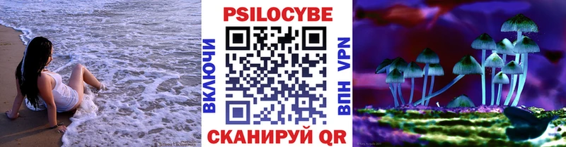 Галлюциногенные грибы Psilocybine cubensis  Шебекино 