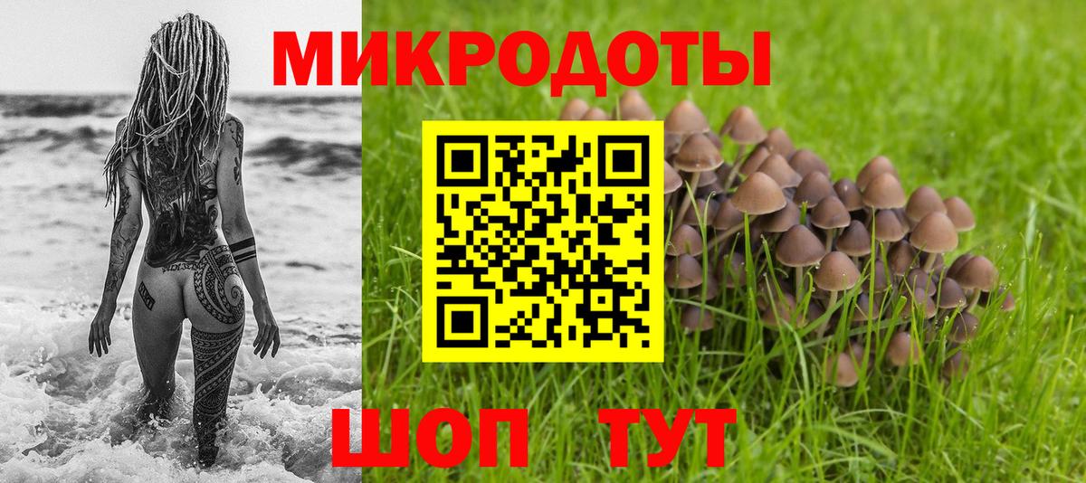 Псилоцибиновые грибы Psilocybine cubensis  наркотики  Вход с VPN  Шебекино  Псилоцибиновые грибы Cubensis 