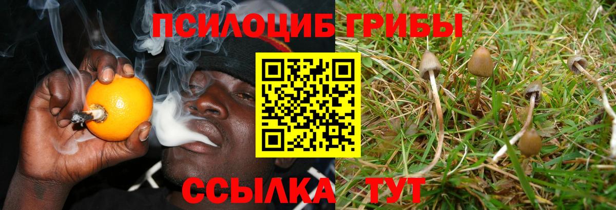 APVP Шебекино