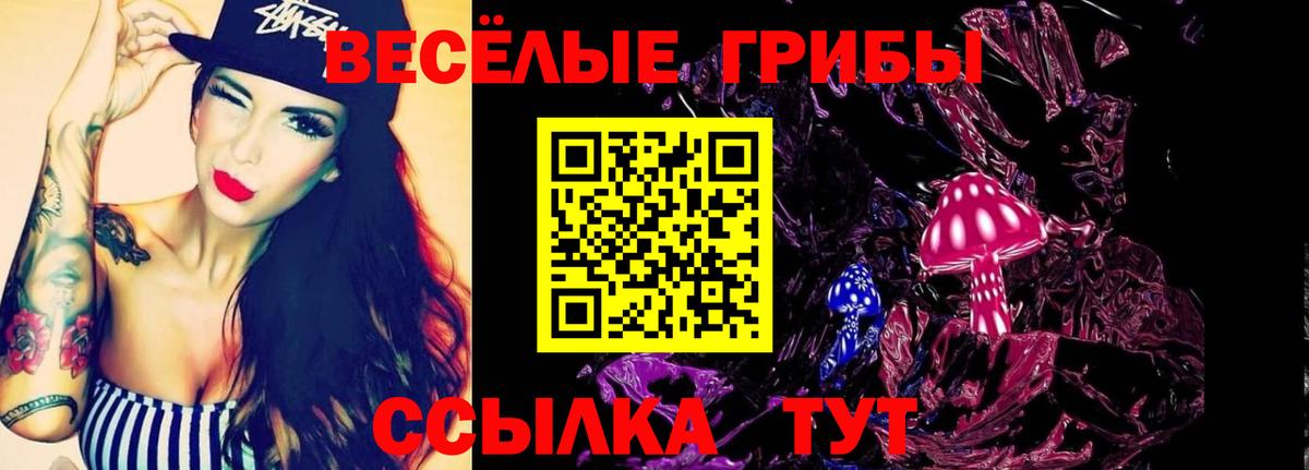 Псилоцибиновые грибы Psilocybine cubensis  Галлюциногенные грибы GOLDEN TEACHER  Шебекино 